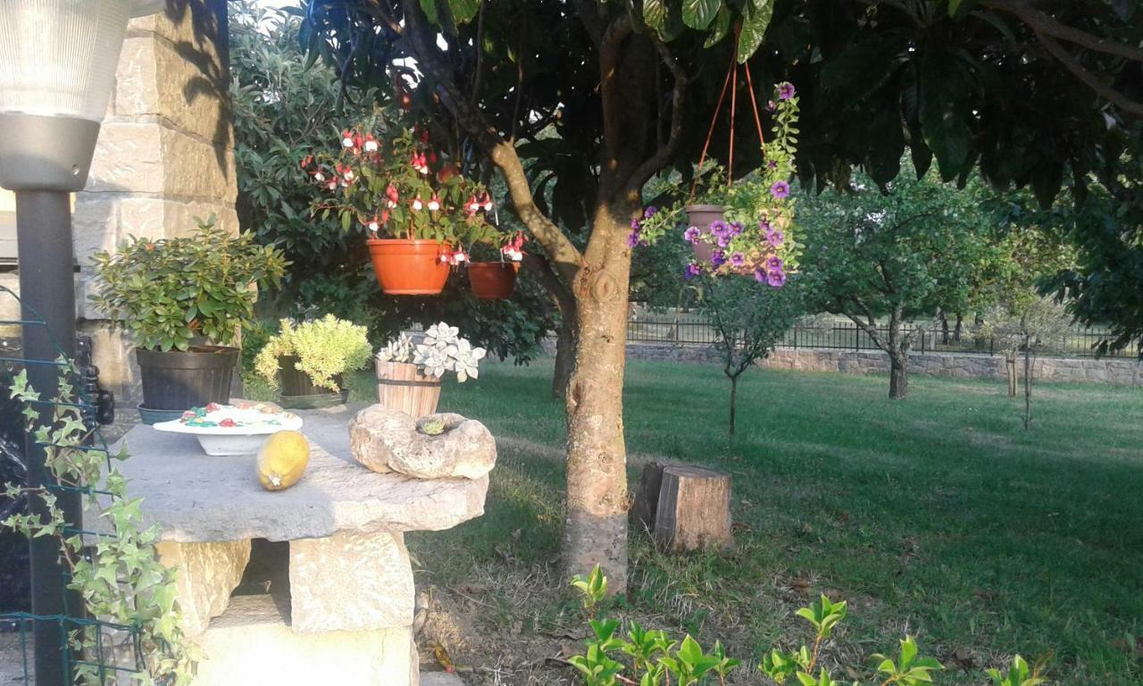 Apartman Nevia Holiday Home Ciritez Екстериор снимка